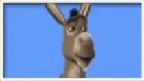 gif of donkey from Shrek